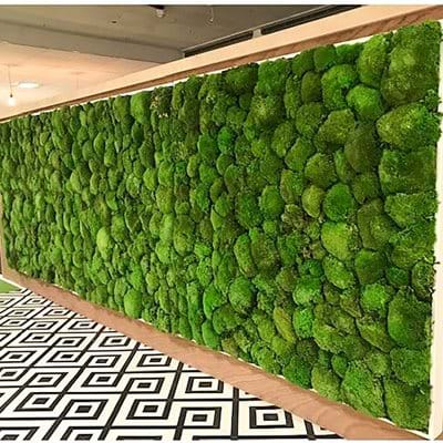 bespoke preserved moss wall